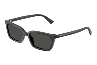 Vorderansicht Jimmy Choo JC5050U (512287)