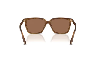 Rückansicht Jimmy Choo JC5051 (508573)