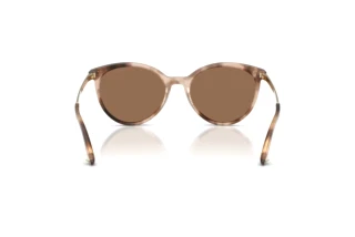 Rückansicht Jimmy Choo JC5060 (509773)