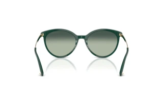 Rückansicht Jimmy Choo JC5060 (510019)