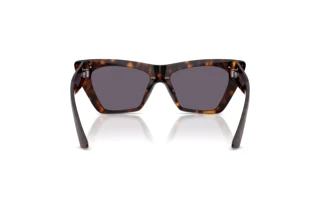 Rückansicht Jimmy Choo JC5062U (50021A)