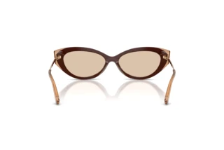 Rückansicht Jimmy Choo JC5065U (510593)