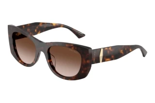 Vorderansicht Jimmy Choo JC5066U (500213)