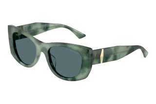 Vorderansicht Jimmy Choo JC5066U (509987)