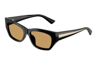 Vorderansicht Jimmy Choo JC5071BU (500073)