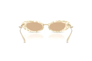 Rückansicht Jimmy Choo JC5072H (512673)