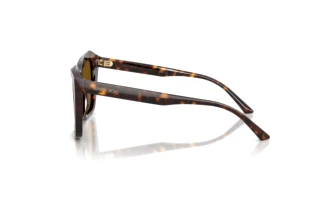 Seitenansicht Jimmy Choo JC5076 (500283)