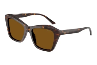 Vorderansicht Jimmy Choo JC5076 (500283)