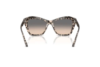 Rückansicht Jimmy Choo JC5076 (5115G9)