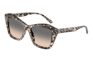 Vorderansicht Jimmy Choo JC5076 (5115G9)