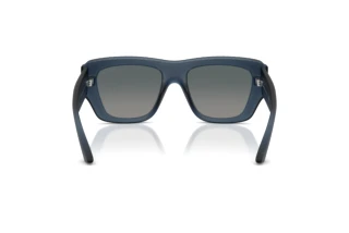 Rückansicht Jimmy Choo JC6003U (50906I)