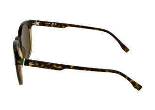 Seitenansicht Lacoste L6073S (217)