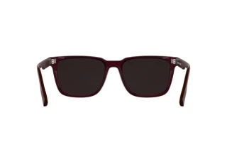 Rückansicht Lacoste L6077S (601)