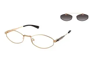 Michael Kors MK1175 19053C Grey GradientBeige Gold