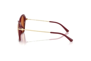 Seitenansicht Michael Kors SAINT CROIX (MK2230U - 400473)