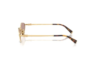 Seitenansicht Miu Miu MU 56ZS (5AK20I)