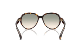 Rückansicht Moncler SWANSPAN (ME6005 - 30022A)