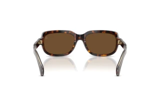 Rückansicht Moncler SUNTRAP (ME6008 - 300273)