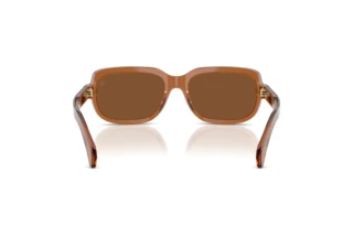 Rückansicht Moncler SUNTRAP (ME6008 - 3017/3)