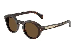 Moncler ME6012 300273 Solid BrownShiny Dark Havana