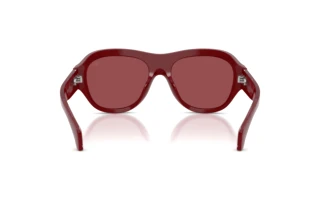 Rückansicht Moncler ELEVANE (ME6015U - 302654)