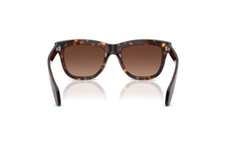 Rückansicht Moncler BRONZZ (ME6023 - 3002T5)