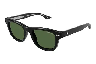 Mont Blanc MB0254S 006
