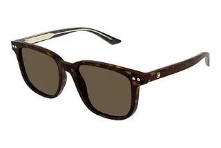 Mont Blanc MB0258SA 002 HAVANA