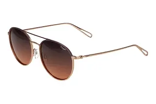 Morgan 207369 3500 Gold