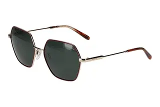 Vorderansicht Morgan 207382 (2100)