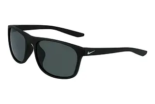 Nike NIKE ENDURE P FJ2215 010