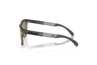 Seitenansicht Oakley FROGSKINS RANGE (OO9284 - 928401)