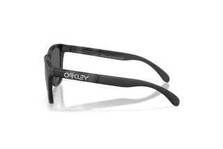 Seitenansicht Oakley FROGSKINS RANGE XL (OO9503 - 950308)