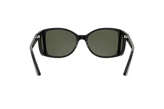 Rückansicht Persol PO0005 (95/31)