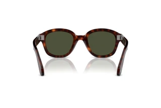 Rückansicht Persol PO0060S (24/31)