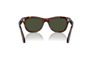 Rückansicht Persol PO0086S (24/31)