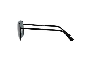 Seitenansicht Persol PO1002S (11513R)