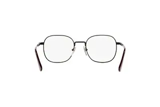 Rückansicht Persol PO1009S (1078GJ)