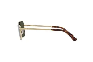 Seitenansicht Persol PO1009S (515/31)