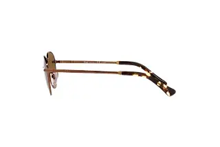 Seitenansicht Persol PO2491S (1123M2)