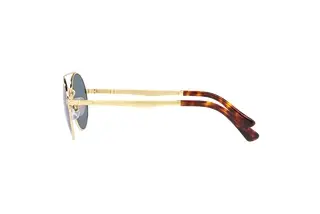 Seitenansicht Persol PO2496S (515/56)