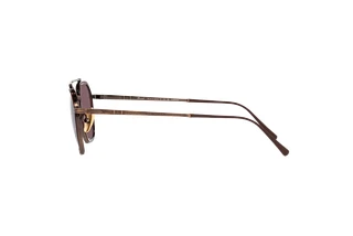 Seitenansicht Persol PO5010ST (8016AF)