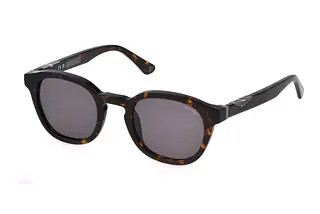 Police SPLL82 0722 SMOKESHINY DARK HAVANA