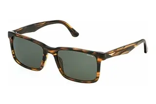 Police SPLP21 0836 GREENSHINY STRIPED BROWN