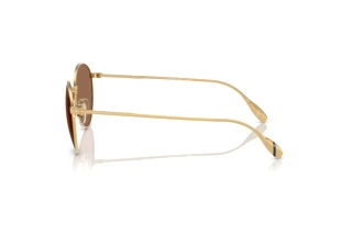 Seitenansicht Polo PH3158 (941173)