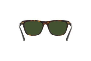 Rückansicht Polo PH4167 (500371)