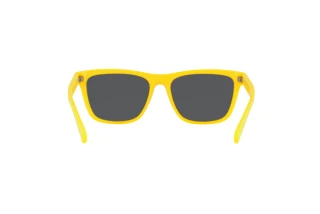 Rückansicht Polo PH4167 (542055)