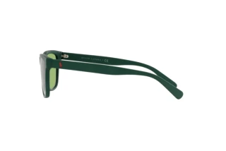 Seitenansicht Polo PH4167 (5421/2)