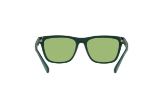 Rückansicht Polo PH4167 (5421/2)