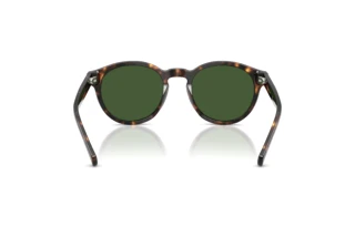 Rückansicht Polo PH4192 (500371)